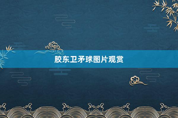 胶东卫矛球图片观赏