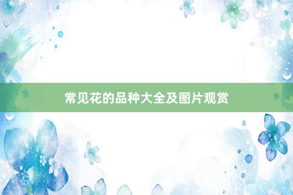 常见花的品种大全及图片观赏